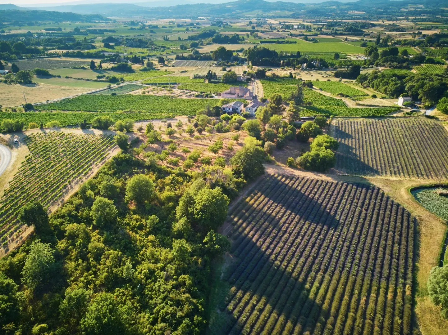 ferme provence