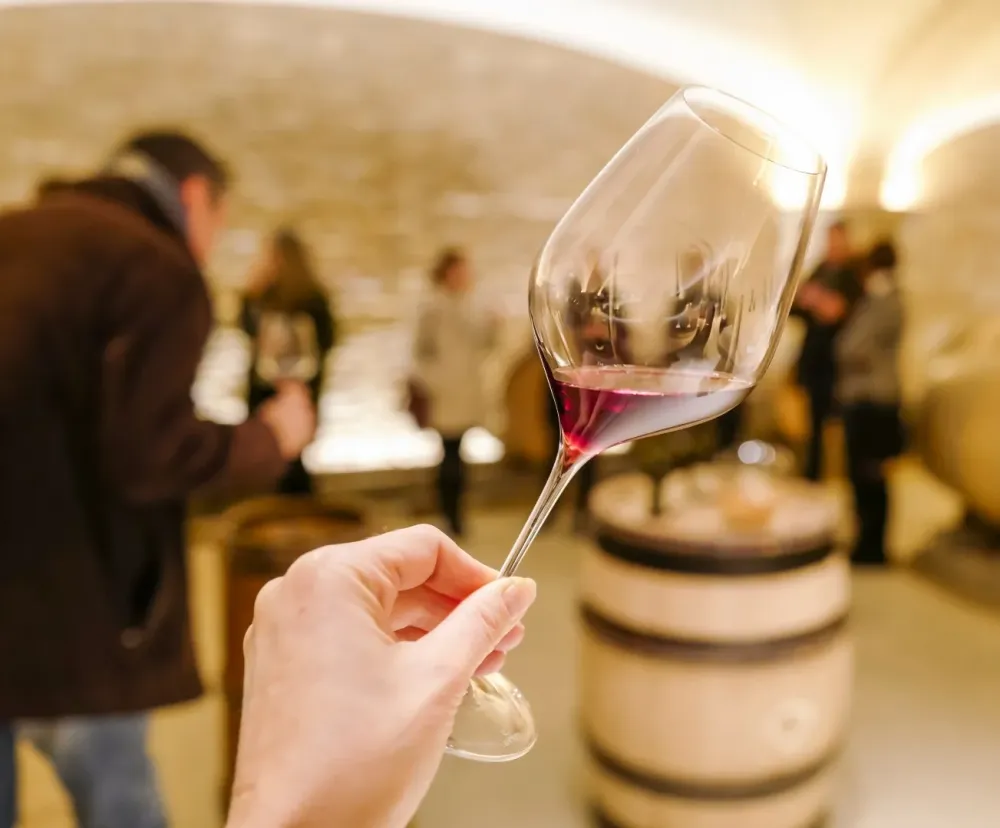 Dégustation vin à Le Thor